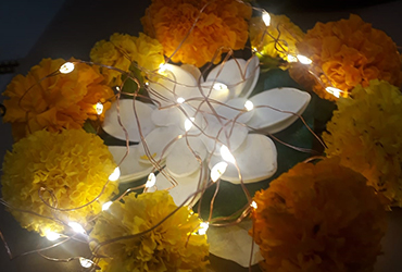 17 Diwali celebration