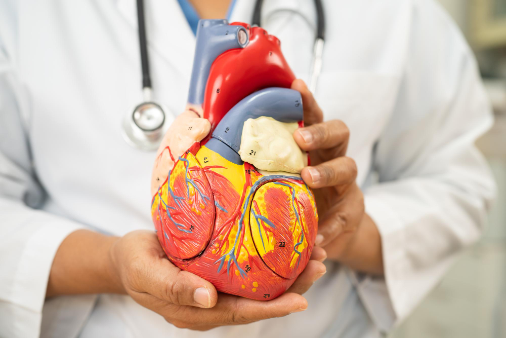 Cardiovascular Treatment in Borivali