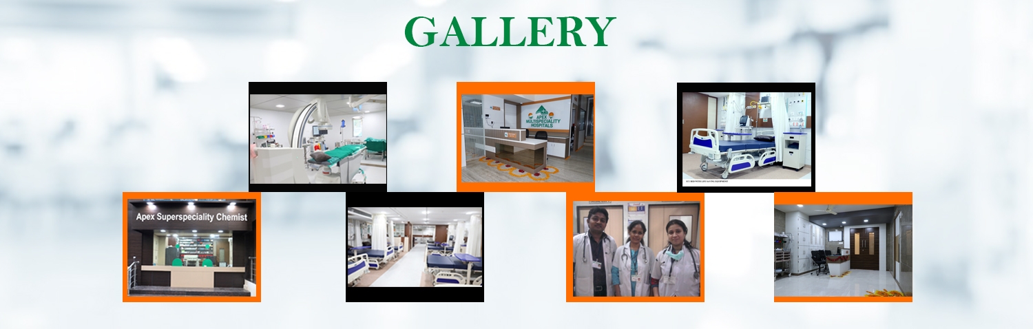 GALLERY_BANNER Gallery